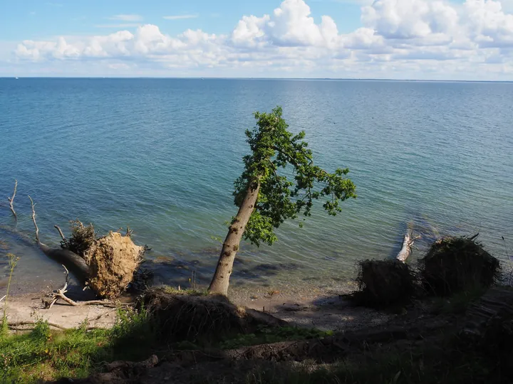 Trelde Næs (Fredericia) (Denemarken) 